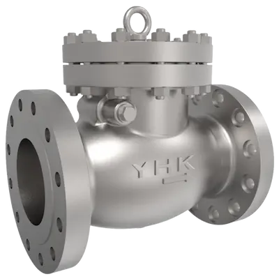 Cast stainless check valve