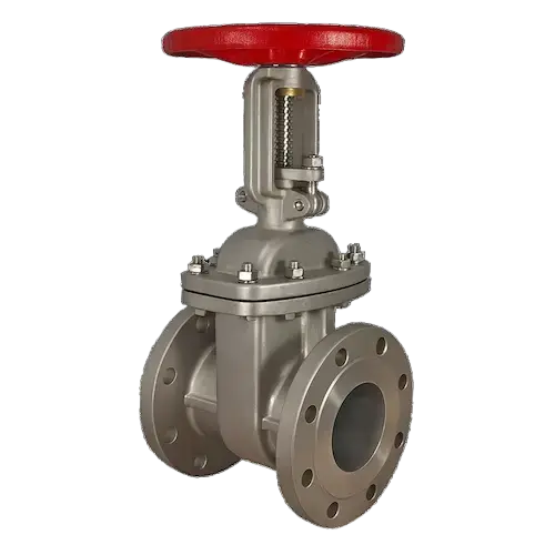 STAINLESS STEEL FLANGED GATE VALVE