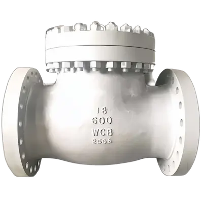 cast carbon check valve