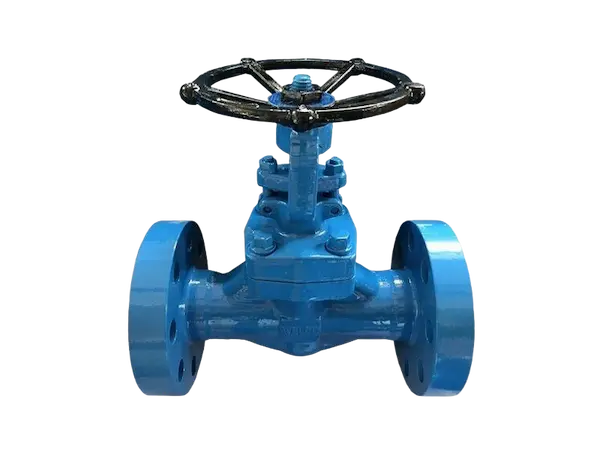 forged steel flanged gate valve
