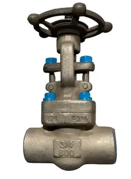 Globe Valve