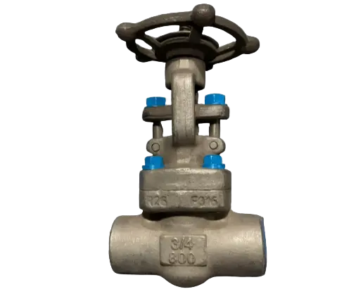 forged steel gate valve