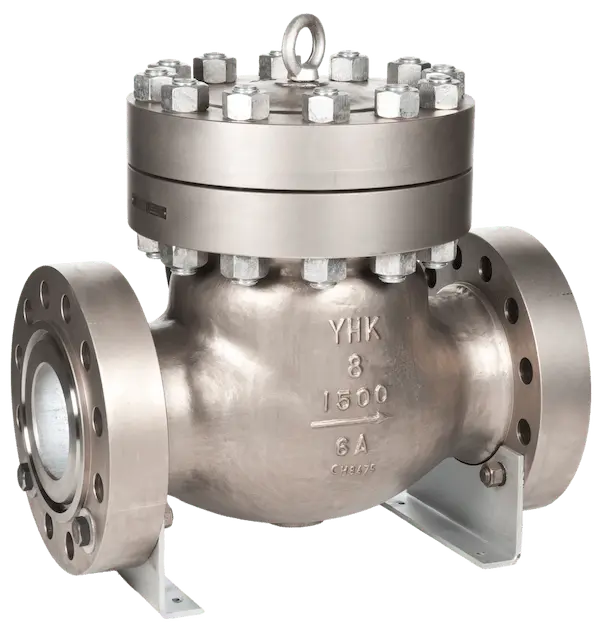 swing check valve